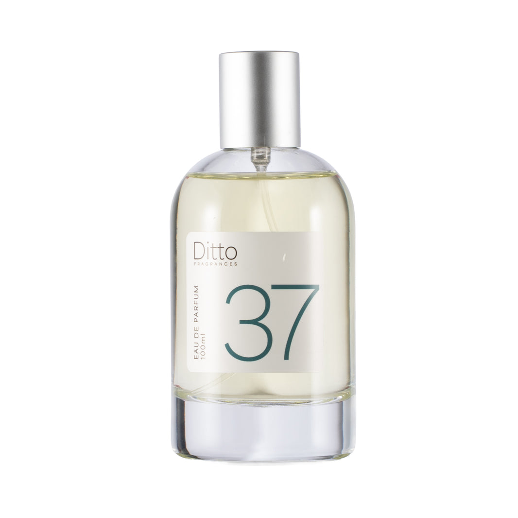 INSPIRED BY BLEU - 37 (MALE)